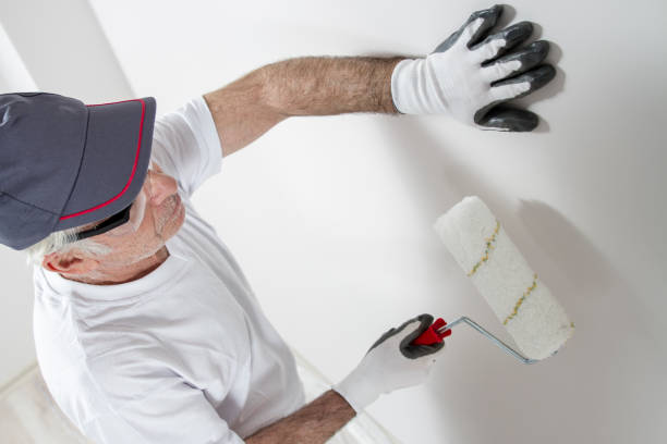 Best Basement Mold Removal  in Lakeview, NY