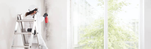 Best Environmental Consulting for Mold Prevention  in Lakeview, NY