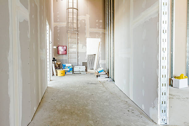 Best Industrial Mold Remediation  in Lakeview, NY